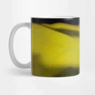 Beetle on a leaf Mug